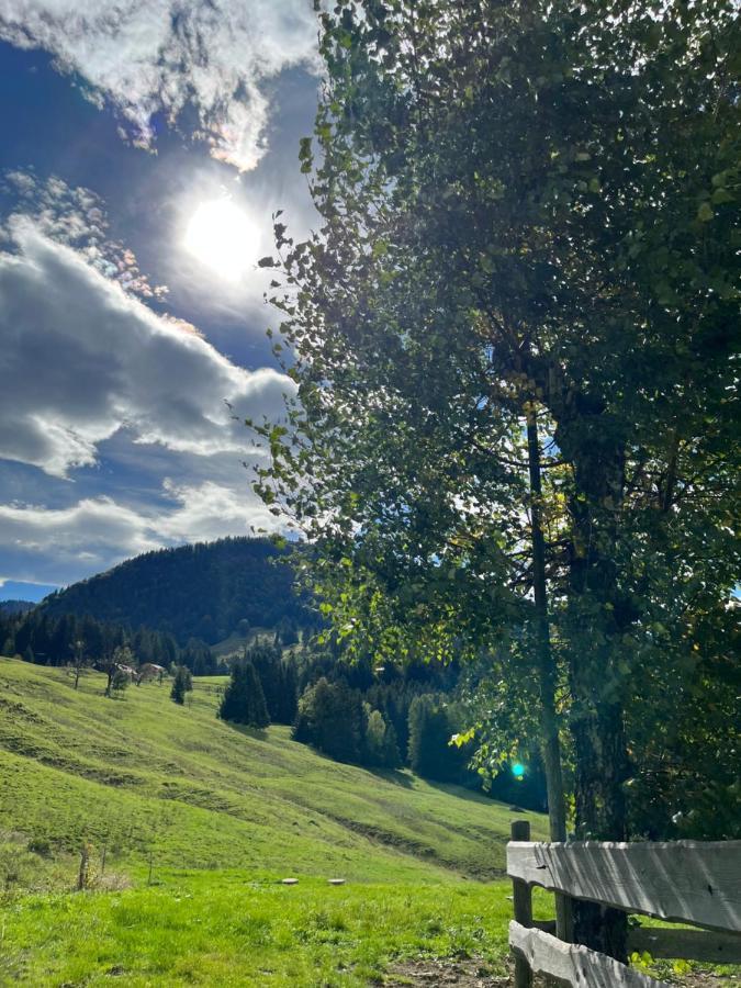 Wunderschoene Wohnung Mit Balkon Und Blick Auf Die Alpen Oberstaufen Exteriör bild